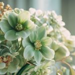 26 ans de mariage : noces de jade